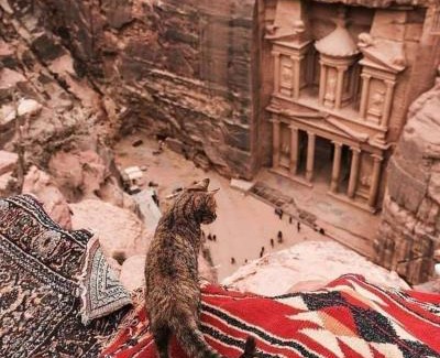 Wadi Musa Hotel | Petra dorms inn