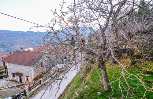 Mesaia Trikala House | Petrino Lodge