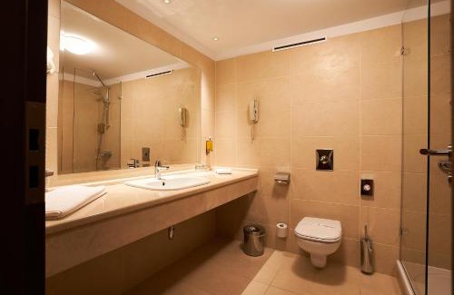 Piatra Neamt Hotel | Petrodava ONE
