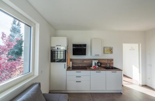 Pianizza Di Sopra Apartment | Pia´s Bleibe