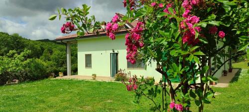 Campobasso Apartment | Pia's house garden