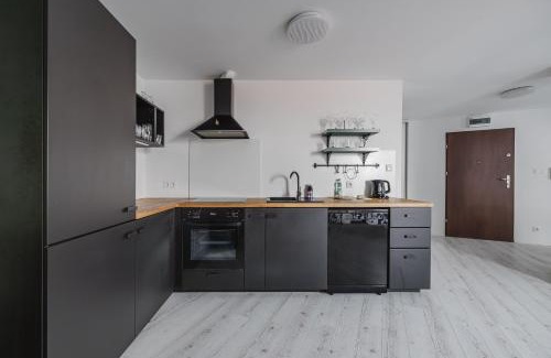 Poznan City Center Apartment | Piaskowa Sunny Roof Studio by BookingHost