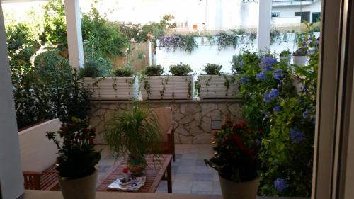 Procida Bed & Breakfast | Piccolo Bed