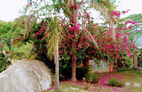 Mairipora Apartment | Picturesque bungalow