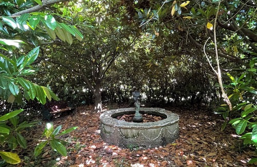 Bullaburra House | Picturesque mountain home - 6.5 acres of gardens to explore!