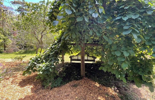 Bullaburra House | Picturesque mountain home - 6.5 acres of gardens to explore!