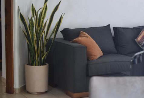 San Francisco Apartment | Piedra Luna San Pancho