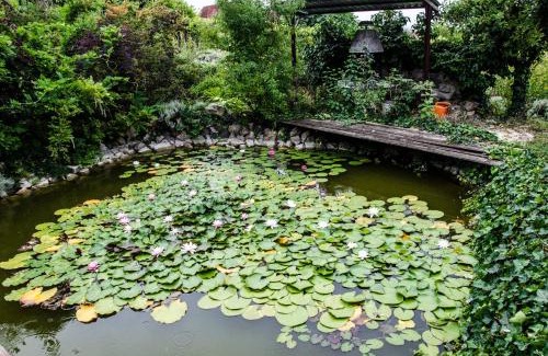 Badacsonyors Bed & Breakfast | Pigál Panzió