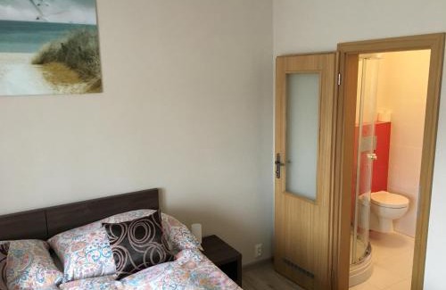 Nove Mesto nad Vahom House | Pikolo - izby na prenájom