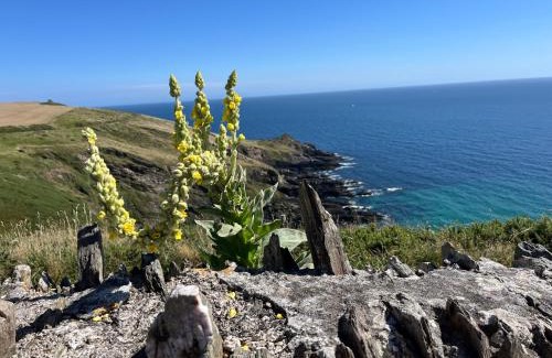 Noss Mayo House | Pilchards Cottage