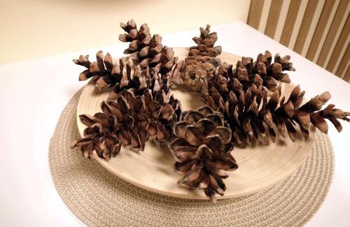 Eglu Ciems Apartment | Pine Cone Apartment