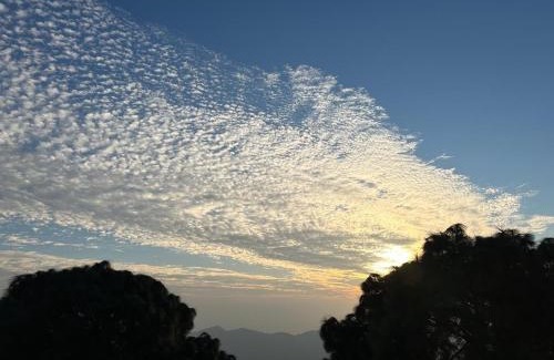 Kuthar Apartment | Pine Forest Vibes Kasauli With Sitting Area Availbale & Garden Space, 1BHK,2BHK,3BHK,4BHK,10BHK