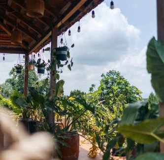 Bao Loc Cabin | Pine Peak Bao Loc