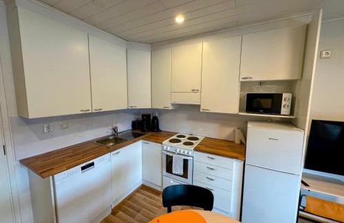 Ivalo Apartment | Pine Sky Apartments