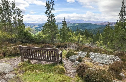 Ballater Cottage | Pine Tree Cottage - UK45925