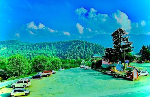 Srinagar Hotel | Pine view