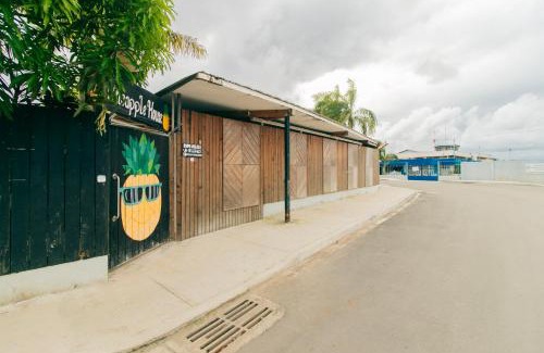 Bocas del Toro House | Pineapple House