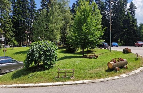 Borovets Apartment | PinePino Borovets, aparthotel Borovets Gardens A60