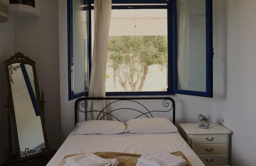 Scala House | Pines, Peacocks & Sea