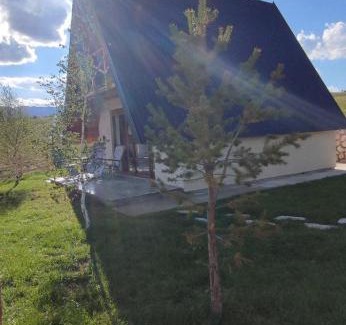 Tepacko Polje Villa | Pinewood Home Žabljak