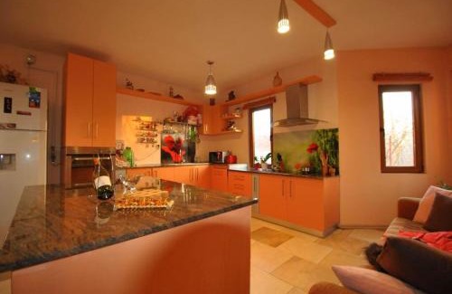Giarmata Villa | Pink Garden Events Advance Notice Required
