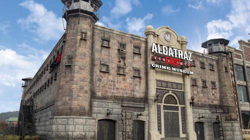 Pigeon Forge Ski Chalet | Pinnacle View 7C by Eden Crest