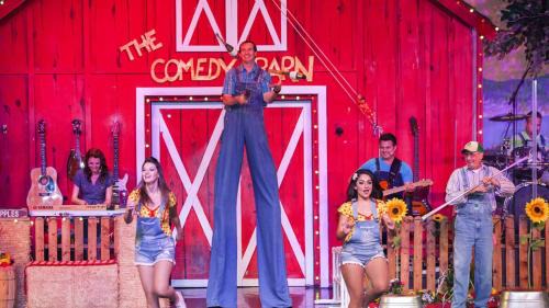 Pigeon Forge Ski Chalet | Pinnacle View 7C by Eden Crest