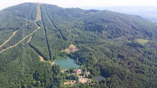 Baia-Sprie House | Pintea Chalet