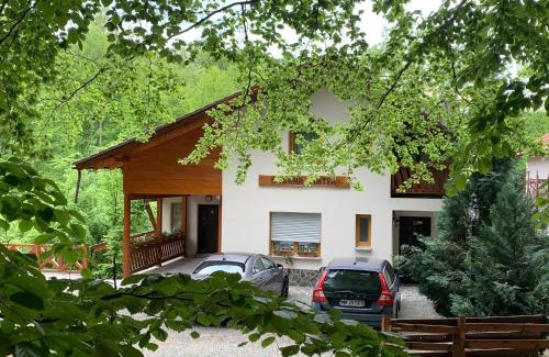 Baia-Sprie House | Pintea Chalet