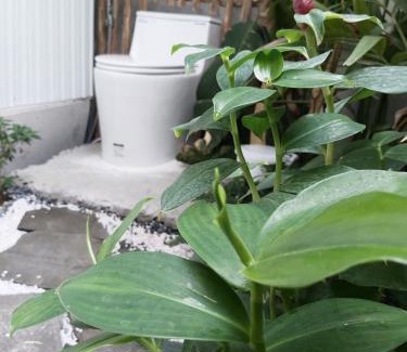 Cai Rang House | Pipo house, cool breeze, beautiful sunshine