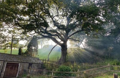 Llansadwrn House | Pippin Lodge