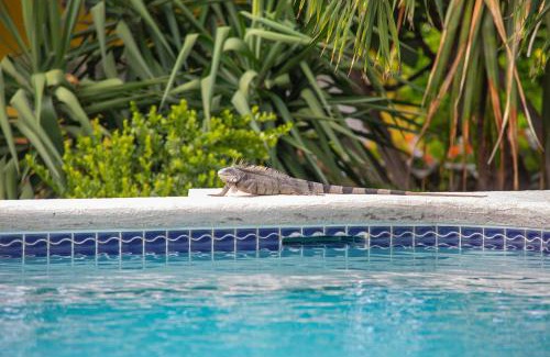 Piscadera House | Piscadera Bay Resort 24