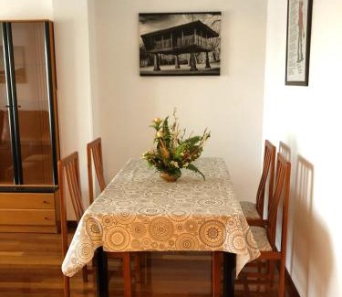 Aviles Apartment | PISO con GARAJE en AVILES