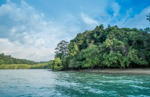 Morong Apartment | PITI Nest Self-Service Home in Rainforest Nest - Wi-fi, Monkeys, Bats, Pet Friendly with a Fee