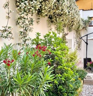 Pizzighettone Apartment | Pizzighettone Residenza La Corte