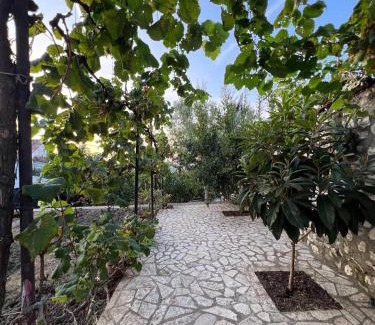 Berat House | Pjetri House