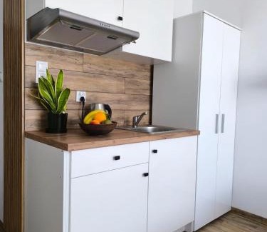 Ostroda Apartment | Place4You Studio w Sercu Ostródy