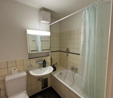 Albisrieden Apartment | Plain & Practical Zurich Apartment