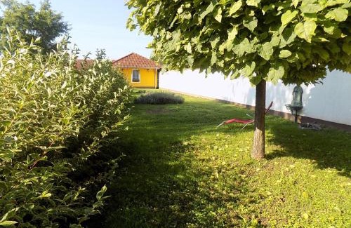 Nyul Bed & Breakfast | Platán Panzió