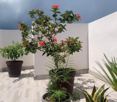 Monte Plata Apartment | Plataview Apartahotel apt 4C