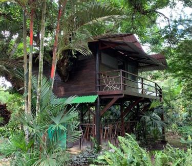 Cahuita Cabin | Playa Grande Lodge & Tree House