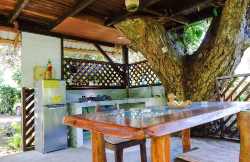 Cahuita Cabin | Playa Grande Lodge & Tree House
