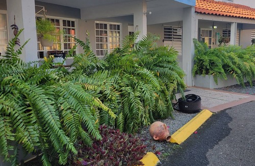 Cabezas Apartment | Playa icacos