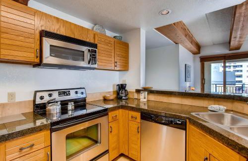 Crested Butte Apartment | Plaza 3PK 2BR 2BTH PZ641