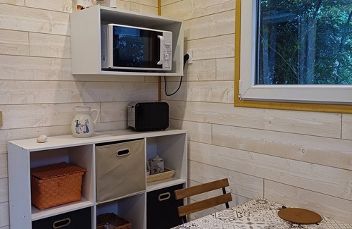 Montescot Apartment | Pleasant gite for 3, in private grounds with swimming pool