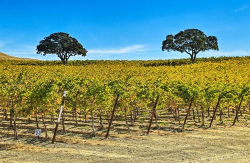 San Miguel House | Pleasant Valley Wine Trail Home - Near Paso Robles