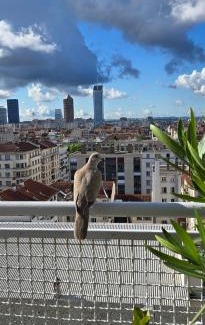 6th Arrondissement Apartment | PLEIN SUD Terrasse Garage Netflix Climatisation