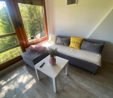 Idrija House | Počitniška hiša Lily