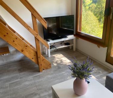 Idrija House | Počitniška hiša Lily