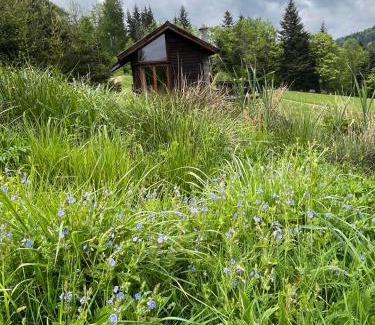 Cisna House | Pod dobrym adresem-domek na łące
